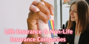 Life Insurance & Non-Life Insurance Companies 